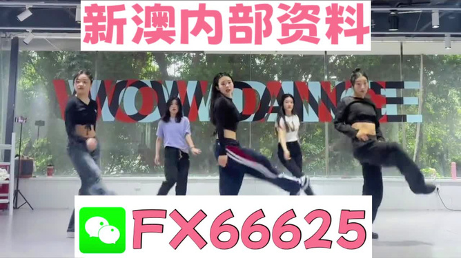 新澳最新版精準特色，深度解析其優(yōu)勢與吸引力，新澳最新版特色解析，優(yōu)勢與吸引力深度探討