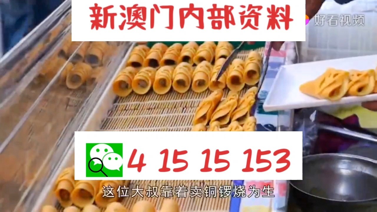 新天天彩免費資料大全300期，探索彩票世界的奧秘與機會，探索彩票世界奧秘與機會的新天天彩免費資料大全300期