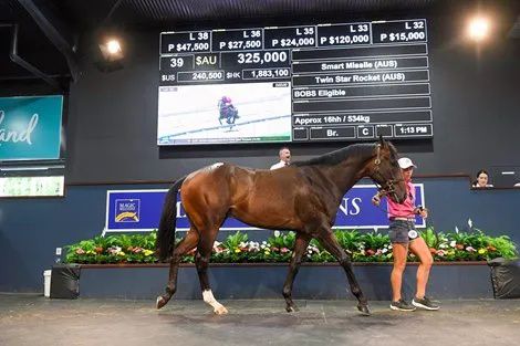 香港最精準的特馬資料，揭秘賽馬世界的秘密，香港精準特馬資料揭秘，賽馬世界的奧秘探秘
