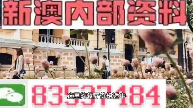 新澳門，探索最精準(zhǔn)、最快的信息更新速度，新澳門，追求最快速、精準(zhǔn)的信息更新之道