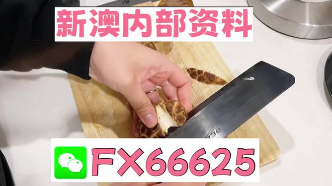 澳門九點半9點半網(wǎng)站——探索其魅力與優(yōu)勢，澳門九點半網(wǎng)站，魅力與優(yōu)勢探索