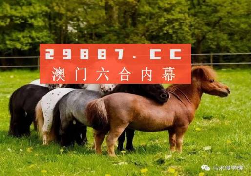 一馬中特內(nèi)部精準(zhǔn)資料免費(fèi)大公開，揭秘行業(yè)秘密，助力個人成長，揭秘行業(yè)秘密，一馬中特內(nèi)部精準(zhǔn)資料大公開，助力個人成長免費(fèi)獲取