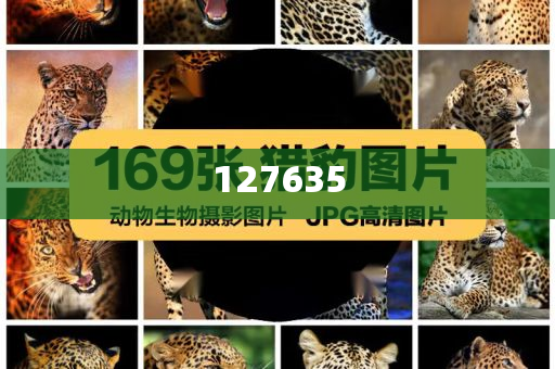 精準新傳真，揭秘數(shù)字組合7777788888的神秘面紗，揭秘數(shù)字組合7777788888的神秘面紗，精準新傳真解讀