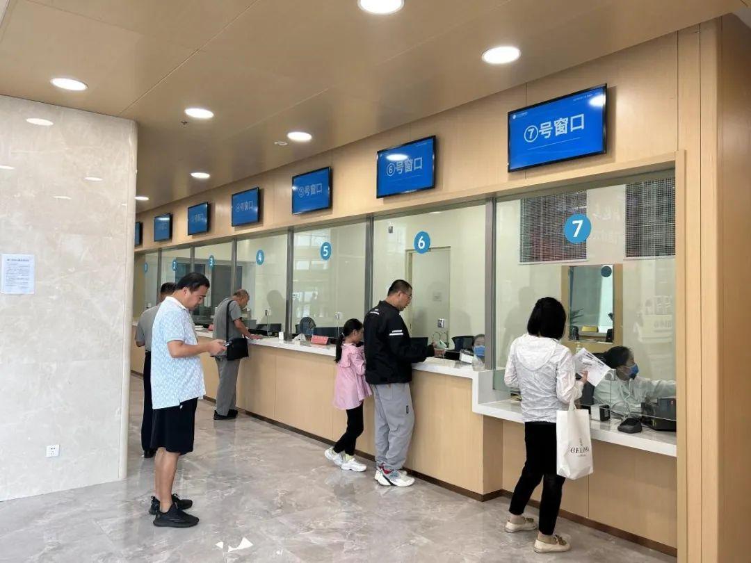 新門(mén)內(nèi)部資料免費(fèi)下載——探索與揭秘，新門(mén)內(nèi)部資料揭秘，免費(fèi)下載與探索之旅