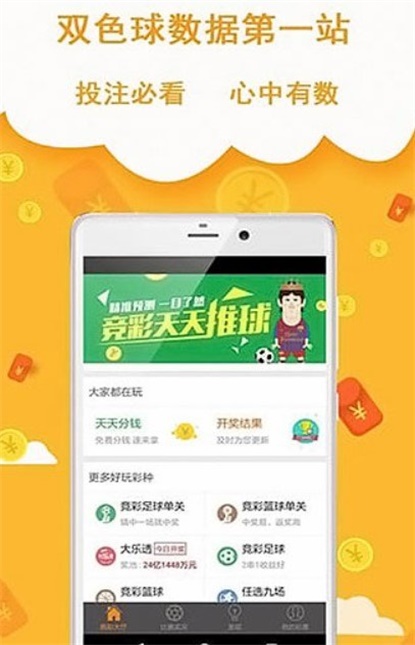 王中王493333中特網(wǎng)，探索與解析，王中王493333中特網(wǎng)，深度探索與解析