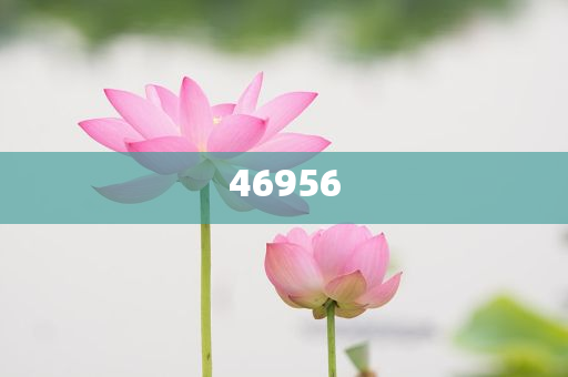 新奧集團(tuán)，邁向2025，天天開好彩的愿景與挑戰(zhàn)，新奧集團(tuán)邁向2025，實(shí)現(xiàn)天天開好彩的愿景與挑戰(zhàn)