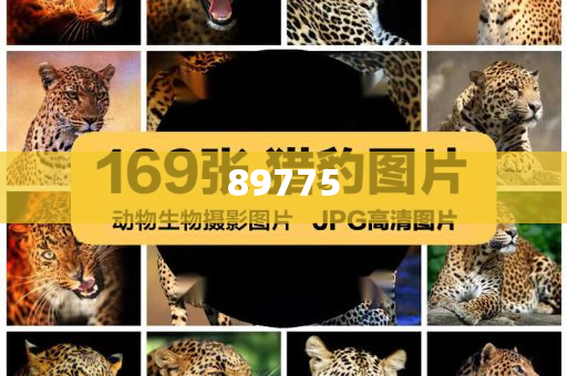 關于新奧歷史開獎記錄的最新信息，今天公布了嗎？，新奧歷史開獎記錄最新信息公布了嗎？