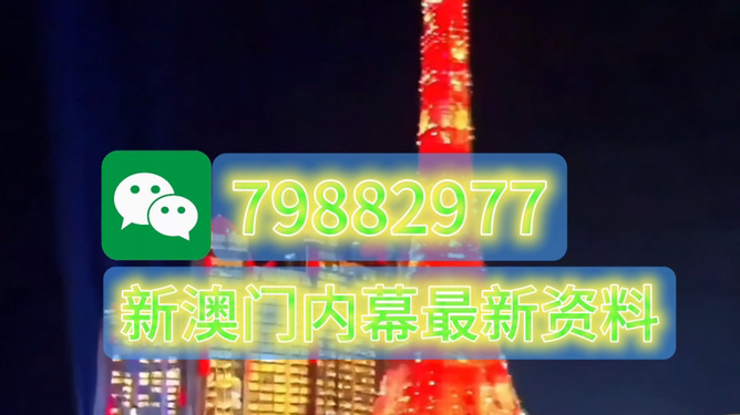 全新2025澳門生肖卡，探索未來幸運之門，全新2025澳門生肖卡，開啟未來幸運之門