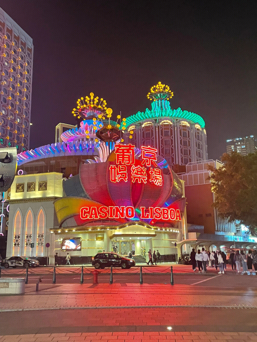 澳門今晚必開一肖一特芳草地，探索生肖與運(yùn)勢的神秘面紗，澳門生肖運(yùn)勢揭秘，探索今晚必開一肖一特芳草地神秘面紗的運(yùn)勢之旅