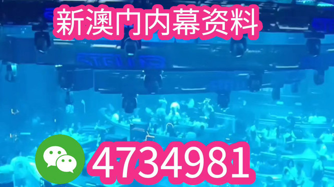 揭秘未來之星，2025新澳王中王，揭秘未來之星，2025新澳王中王風(fēng)采展示