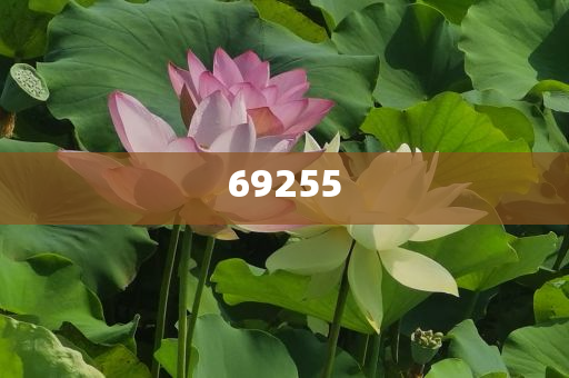 新門(mén)內(nèi)部資料免費(fèi)大全最新版本詳細(xì)介紹，新門(mén)內(nèi)部資料大全最新版詳解