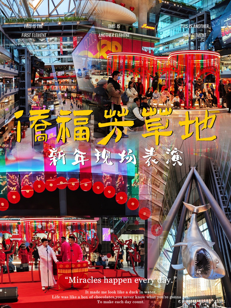 2024新澳芳草地資料