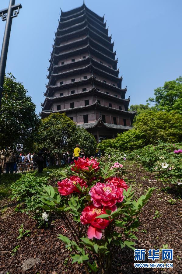 六和彩開碼資料網(wǎng)——探索彩票世界的門戶，六和彩開碼資料網(wǎng)，彩票世界探索之門