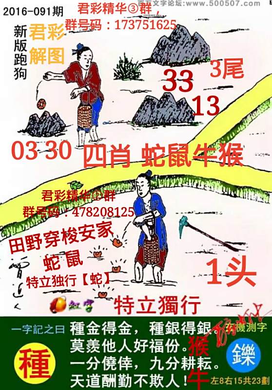 揭秘7777788888精準(zhǔn)新跑狗圖，全方位解讀其背后的秘密，揭秘新跑狗圖7777788888，全方位解讀背后的真相與秘密