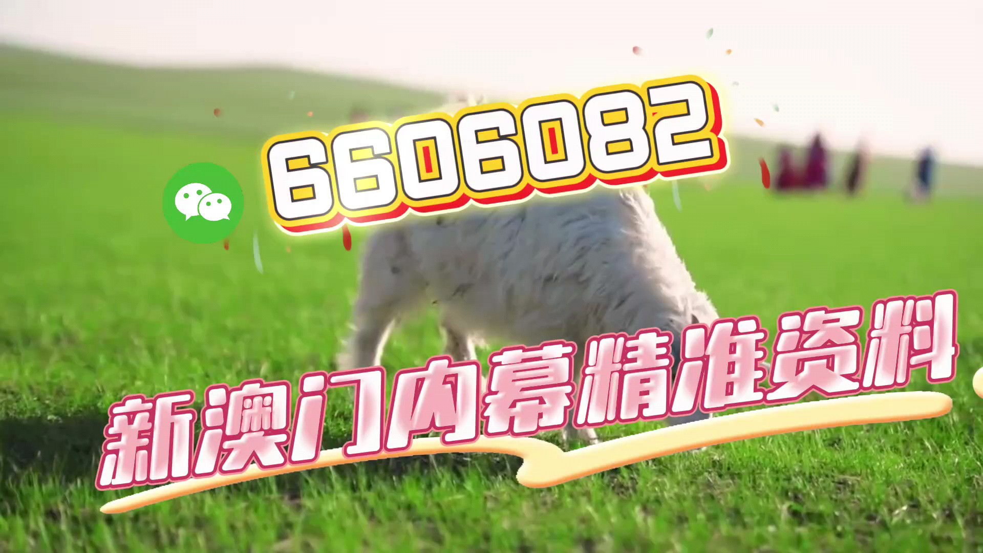 澳門今晚必開一肖一特，揭秘生肖彩票的魅力與預(yù)測技巧，澳門生肖彩票預(yù)測揭秘，一肖一特魅力與預(yù)測技巧探討