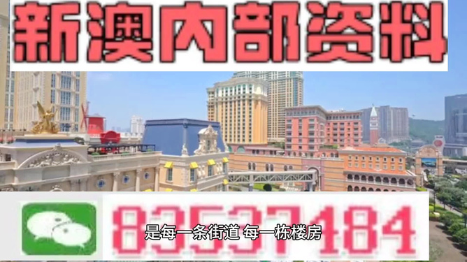 新澳門最精準正最精準龍門——探索澳門的魅力與機遇，澳門魅力與機遇探索，新澳門最精準龍門