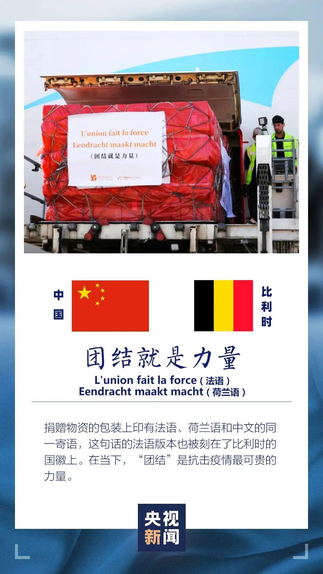 王中王資米斗一肖中持，深度解析與SEO優(yōu)化策略，王中王資米斗一肖中持深度解析與SEO優(yōu)化策略探討