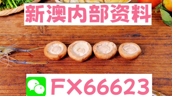 新澳正版資料免費提供，全面解析與深度探索，新澳正版資料全面解析與深度探索，免費提供的指南