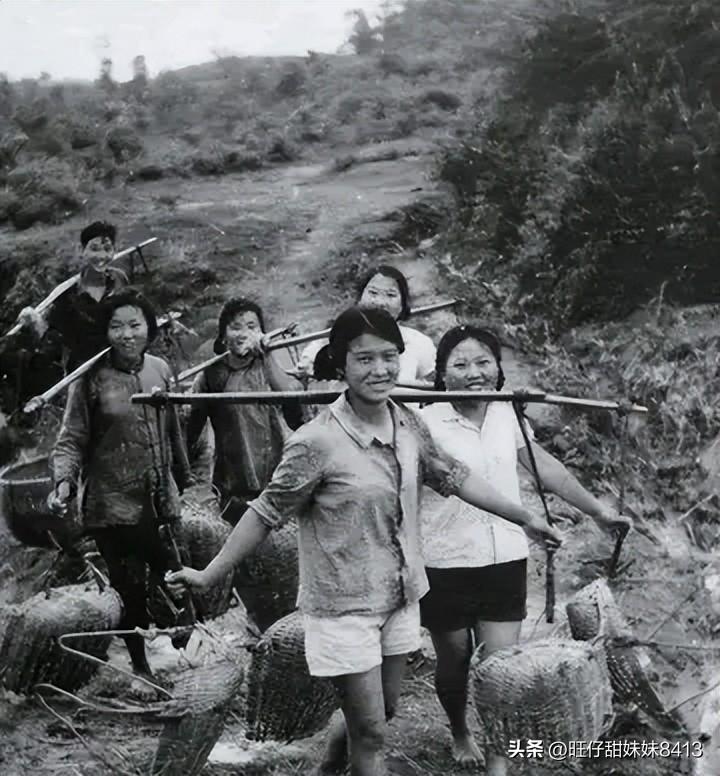 關(guān)于49圖庫圖片資料，豐富資源一網(wǎng)打盡，49圖庫，圖片資源豐富，一網(wǎng)打盡！