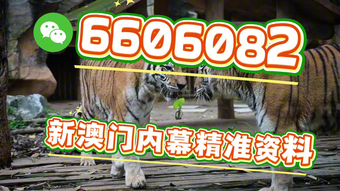 澳門今晚必開一肖一特，深度解析與預(yù)測，澳門今晚生肖特碼深度解析與預(yù)測，一肖一特必開趨勢探討