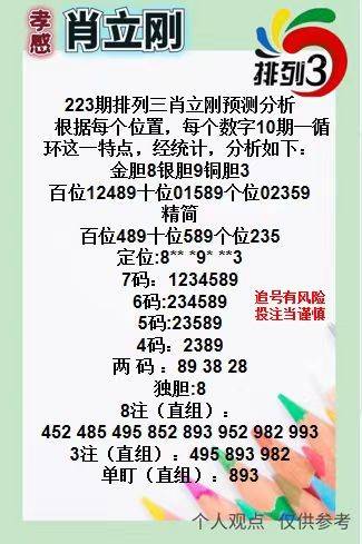 王中王三肖一碼資料，深度解析與SEO優(yōu)化策略，王中王三肖一碼資料深度解析與SEO優(yōu)化策略全攻略