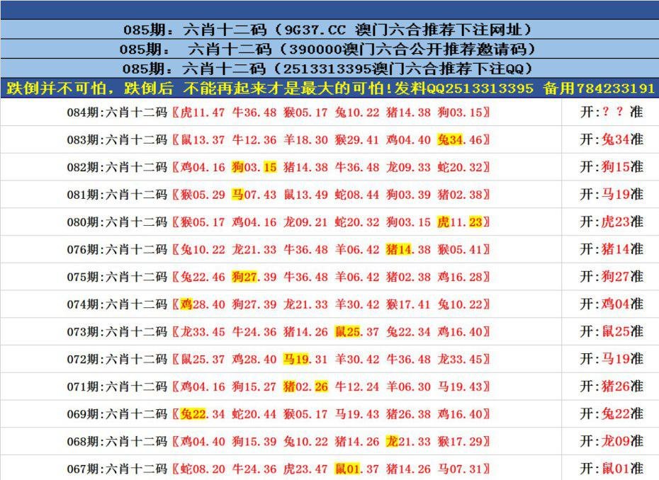 澳門六合正版資料，深度解析與探索，澳門六合正版資料深度解析與探索之旅