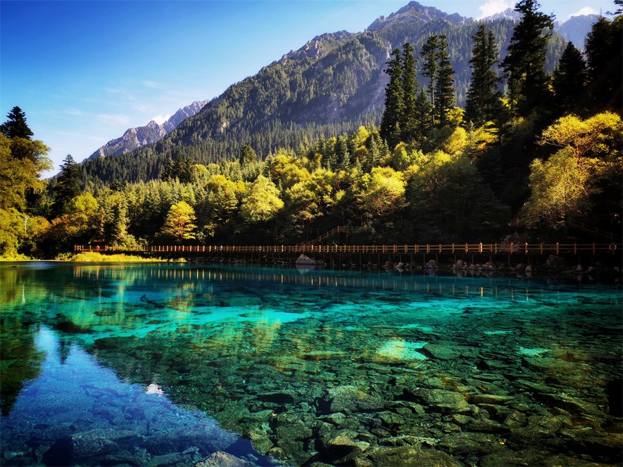 阿壩旅游網(wǎng)，探索九寨溝門票的最佳選擇，阿壩旅游網(wǎng)，探索九寨溝門票的最佳平臺