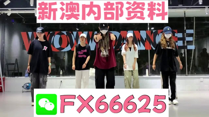 新奧天天免費(fèi)資料大全——探索與優(yōu)化的SEO之旅，新奧天天免費(fèi)資料大全，SEO探索與優(yōu)化之旅