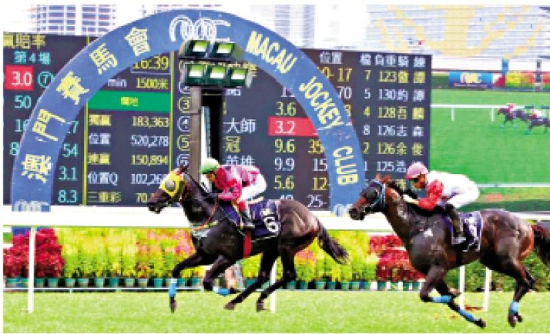 澳門賽馬會，歷史、文化與激情的交融，澳門賽馬會，歷史、文化與激情的盛會