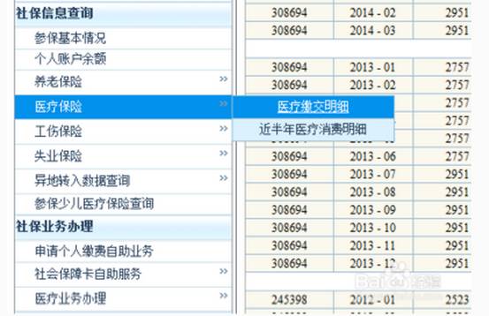 2025新澳門歷史記錄查詢完全指南，澳門歷史記錄查詢完全指南（2025版）