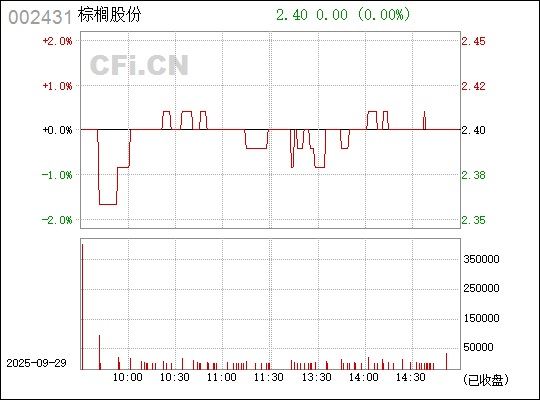 探索棕櫚股份股吧，深度解析與前景展望（股票代碼，002431），棕櫚股份深度解析與前景展望，股票代碼002431