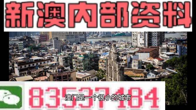 新澳門精準(zhǔn)四肖期準(zhǔn)，探索背后的秘密與策略，澳門精準(zhǔn)四肖期背后的秘密與策略探索