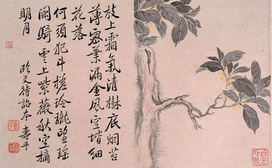 世外挑園，揭秘劉伯溫一肖的神秘魅力，揭秘劉伯溫一肖的神秘魅力，世外挑園之旅
