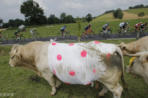 王中王四不像特一肖，神秘文化符號解讀與SEO洞察，王中王四不像特一肖，神秘文化符號解讀與SEO洞察揭秘