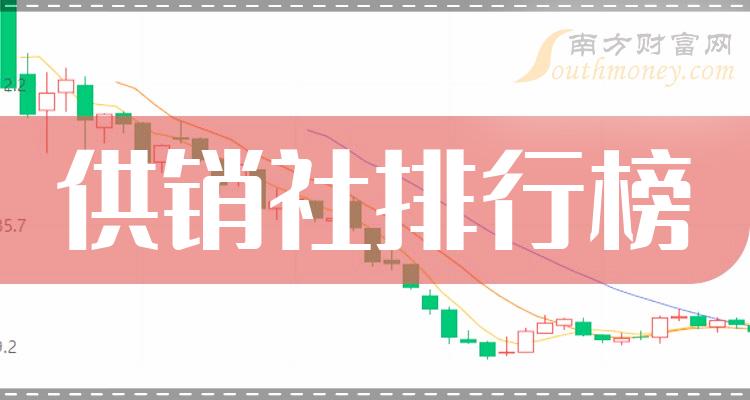 供銷概念股，解析與前景展望，供銷概念股，深度解析與未來前景展望