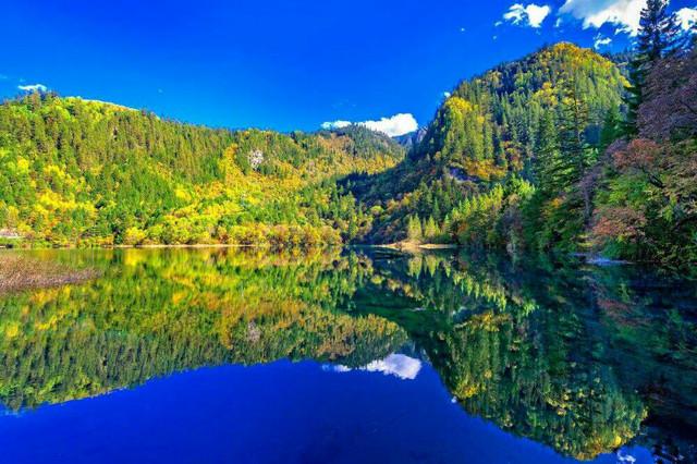 九寨溝五花海，自然之美的巔峰體驗，九寨溝五花海，自然巔峰之美的極致體驗