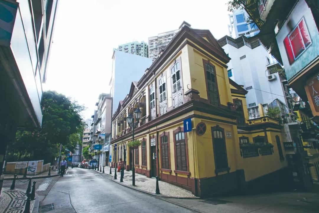 澳門必開一生一肖碼，揭秘背后的秘密與真相，澳門必開一生一肖碼揭秘內(nèi)幕與真相