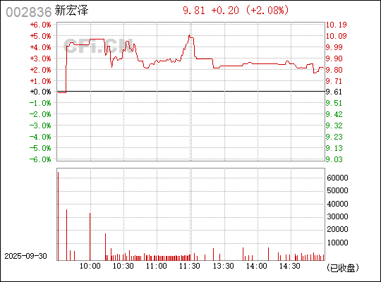 深入了解數(shù)字代碼，002836——探索其背后的含義與應(yīng)用，揭秘?cái)?shù)字代碼002836背后的含義與應(yīng)用探索