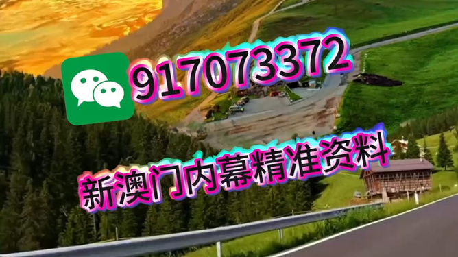王中王一肖一中特，深度解析與SEO優(yōu)化策略，王中王一肖一中特深度解析與SEO優(yōu)化策略探討
