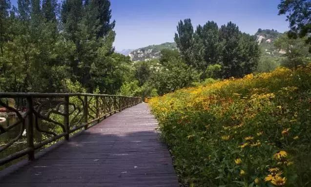 北戴河農(nóng)家院吃住一體推薦指南，哪家更佳？，北戴河農(nóng)家院吃住一體推薦，最佳農(nóng)家院選擇指南