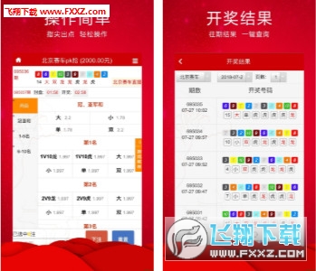 王中王三肖必出一肖，深度解析與探索，王中王三肖必出一肖，深度解析與探索揭秘