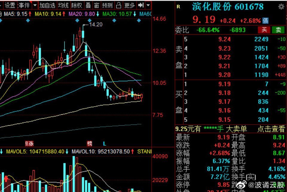 濱化股份股票，深度解析與前景展望，濱化股份股票深度解析及前景展望