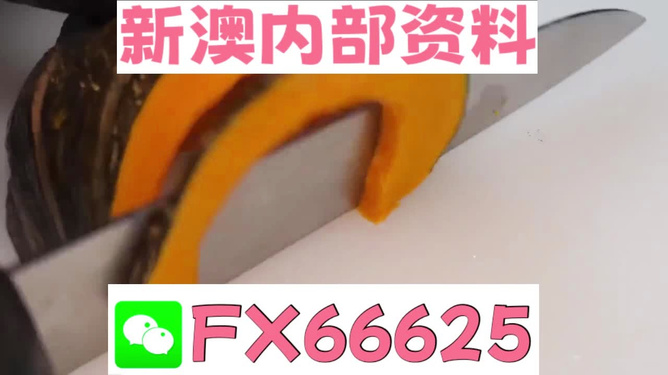澳門管家婆，揭秘精準預測的秘密武器，澳門管家婆揭秘，精準預測的秘密武器全解析