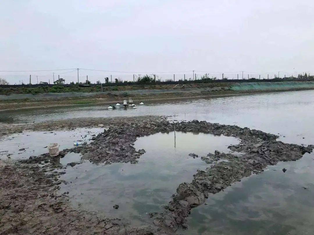 澳門六局中局開獎(jiǎng)結(jié)果查詢，輕松掌握最新開獎(jiǎng)動(dòng)態(tài)，澳門六局最新開獎(jiǎng)結(jié)果實(shí)時(shí)查詢，輕松掌握最新動(dòng)態(tài)