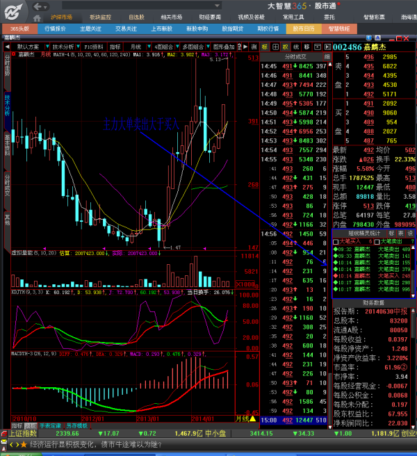 深度解析，關(guān)于002486股吧的全面觀察，關(guān)于002486股吧的全面深度觀察解析