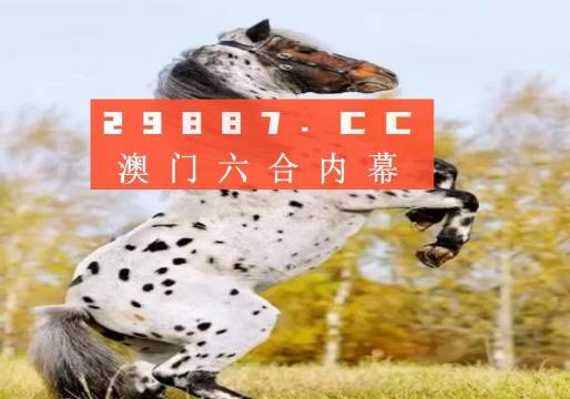揭秘白小姐王中王四不像圖一，探尋肖中特的神秘面紗，揭秘白小姐王中王四不像圖與肖中特神秘面紗的背后真相