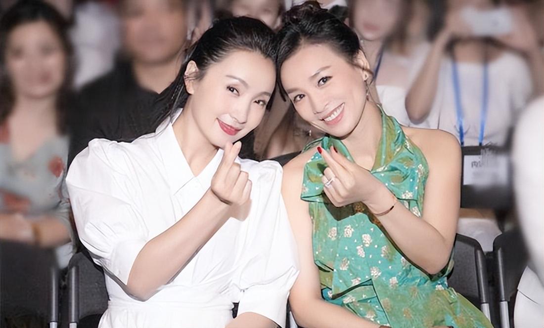 陶虹張庭事件，深度解析背后的真相與影響，陶虹張庭事件深度揭秘，真相與影響探究