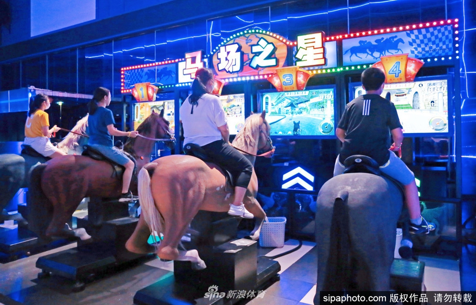 王中王六肖選一，揭秘選擇與優(yōu)化的秘密，揭秘王中王六肖選一的選擇與優(yōu)化秘密