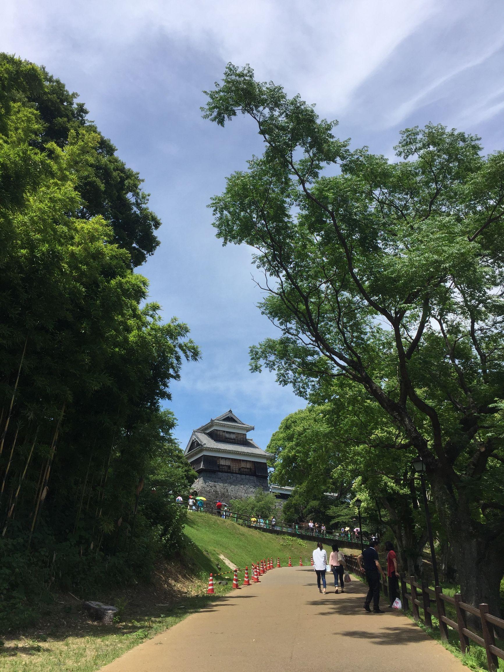 上海游輪旅游路線及價(jià)格詳解，上海游輪旅游路線與價(jià)格全面解析