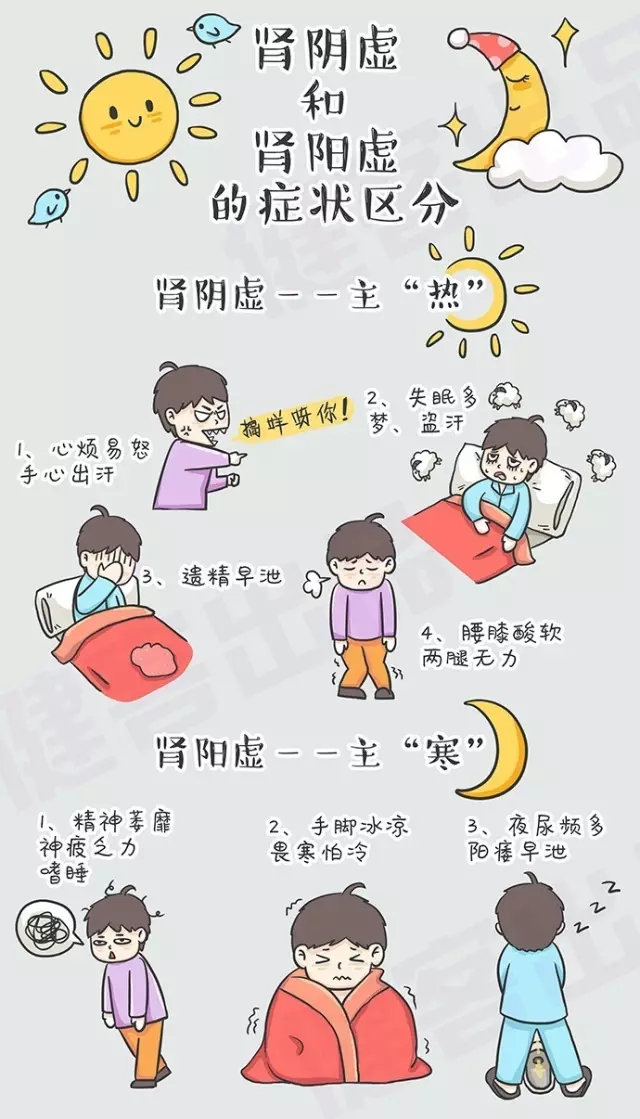 解析腎陰虛與腎陽虛，兩者之間的區(qū)別及理解，腎陰虛與腎陽虛，解析其區(qū)別與理解
